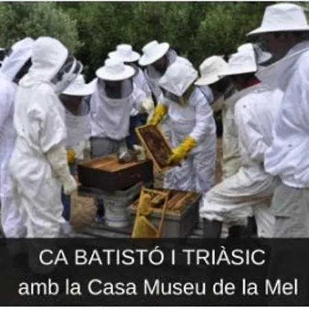 Mas Rosich Oda ve Kahvaltı Alcover